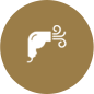 Hair dry<br /><em>$4</em>